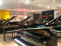 -柏斯音乐艺术中心·钢琴·吉他(世纪金源店)