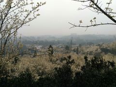 -樱桃山旅游景区