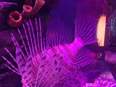 -沈阳海洋探索中心