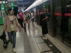 -宋家庄(地铁站)
