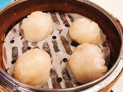 -点点心点心专门店(旺角店)