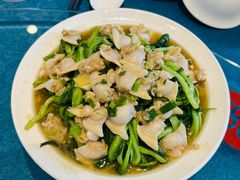 鸡毛菜花蛤-大队长大灶鹅