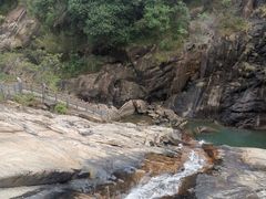 -广州白江湖森林公园