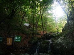 -本溪汤沟绿石谷森林公园