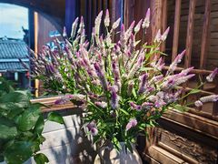 -凤凰山斑鱼馆(恭城店)