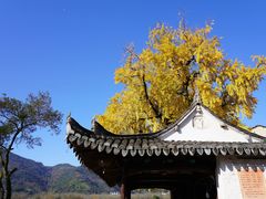 -楠溪江风景名胜区