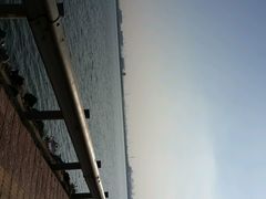 android_upload_pic-瑶湖郊野森林公园