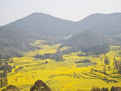 -牛街螺丝田