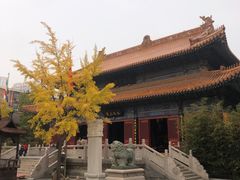 -挂甲禅寺