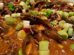 -子福慧(虹桥店)