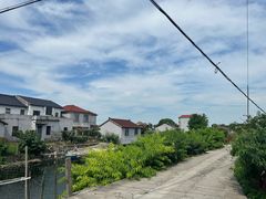 -南汇水蜜桃采摘(大团店)