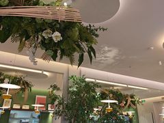 -Aqua Oasis 水天堂(太湖中心mall店)