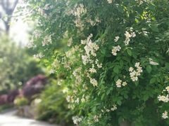 -南山植物园