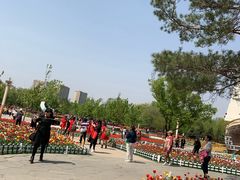 -长春公园(普阳街道)