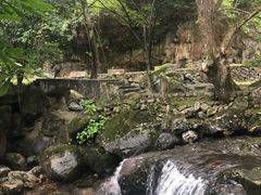 -白云源风景区