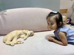 -藏猫猫咖啡主题馆(中央大道店)