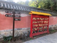 -阳台山自然风景区