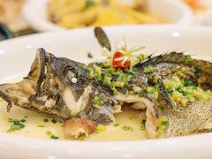 -有腥气私房菜·寻味顺德