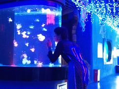 -梦幻海洋王国(吾悦广场张家港店)