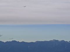-新疆那拉提国家旅游度假区