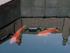 -西安市广仁寺