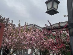 -西安汉城湖景区