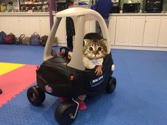 -悦宝园(昌平镇店)