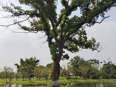 -良渚古城遗址公园