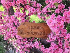 -北京凤凰岭
