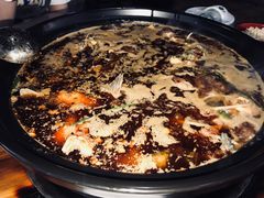 -金海椒罐罐鲢鱼(东方桂苑店)