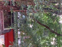 -三顾园(锦里店)