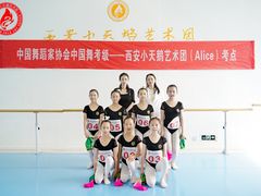 -西安小天鹅艺术团(曲江Alice店)