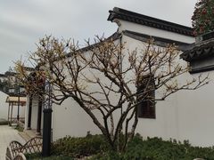 -枫桥夜泊
