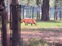 -秦皇岛野生动物园