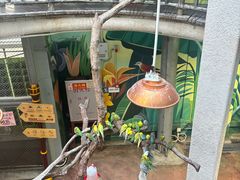 -正佳雨林生态植物园