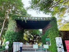 -华侨城湿地公园