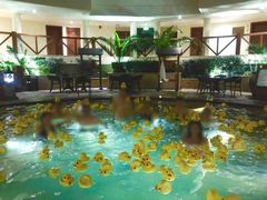 -苏州湾王焰温泉度假酒店