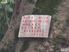 -国恩寺