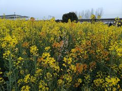 -临平南高铁站(地铁站)