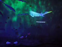 -安徽省地质博物馆