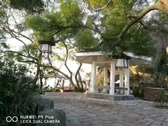 深海鱼养生迷你小火锅-厦门园林植物园-植物园滴水山房