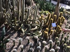 -南山植物园