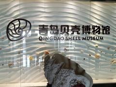 -青岛贝壳博物馆