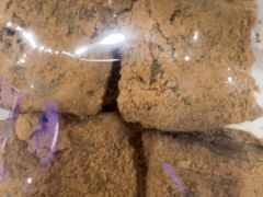 -护国寺小吃(地安门店)