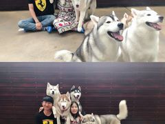 -TrueLove @ Neverland (Husky Cafe)