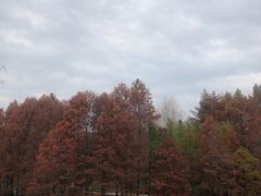 -WeLope紫金山探险公园