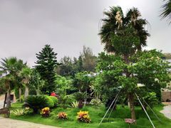 -那琴半岛地质海洋公园