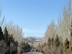 -乌素图国家森林公园