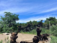 -沈阳森林动物园