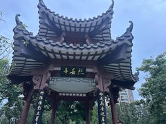 -四海公园(南山区)